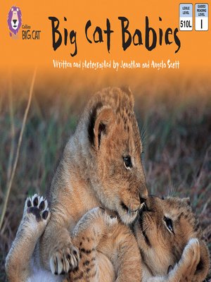 cover image of Collins Big Cat – Big Cat Babies